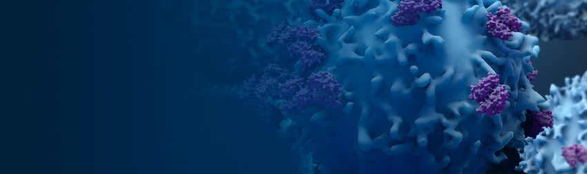 système immunitaire